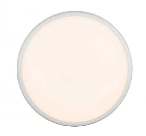 Потолочный светильник уличный Globo Aemon 32109S