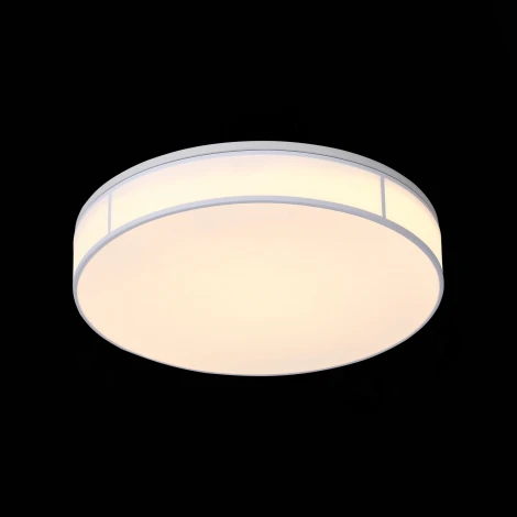 Потолочный светильник ST Luce Fella SL417.502.01