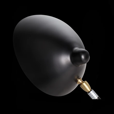 Интерьерная настольная лампа ST Luce Spruzzo SL305.404.01