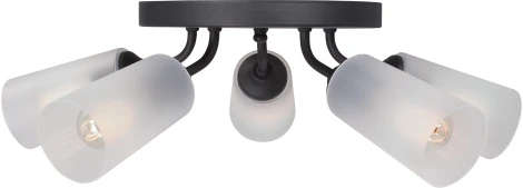 Потолочная люстра V3762-1/5PL Vitaluce (220V)