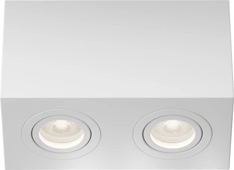 Потолочный светильник Atom GU10 2x50Вт Maytoni Technical C017CL-02W (220V)