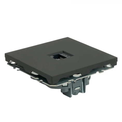 Розетка Ethernet RJ-45 (черный уголь, soft touch) Stekker Эмили 49847