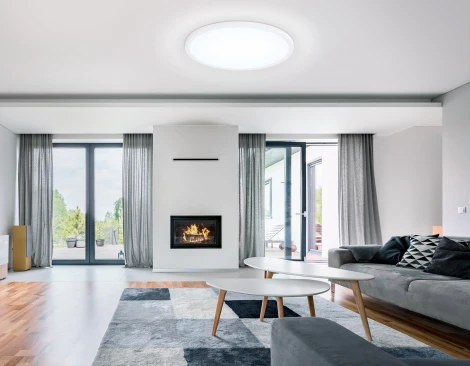 Потолочный светильник круглый светодиодный Ambrella ORBITAL FZ1959 (220V, круглые, IP54)