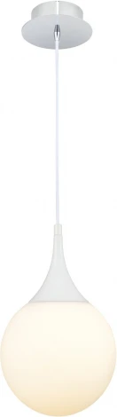 Подвесной светильник Maytoni Dewdrop P225-PL-200-N