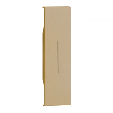 Клавиша 1 модульная цвет-шампань матовый Meiton ACH01