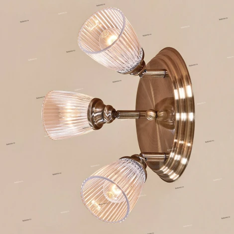 Спот Citilux Виндзор CL539631
