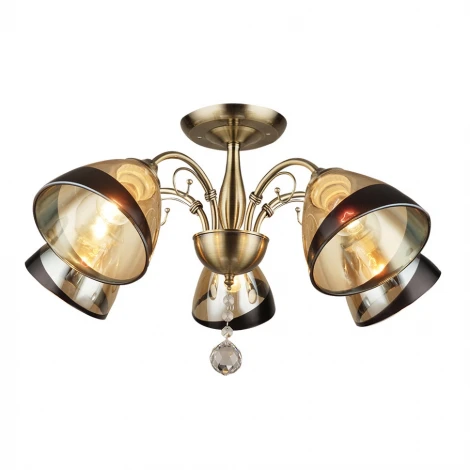 Потолочная люстра Wedo Light Rossano 66415.01.05.05