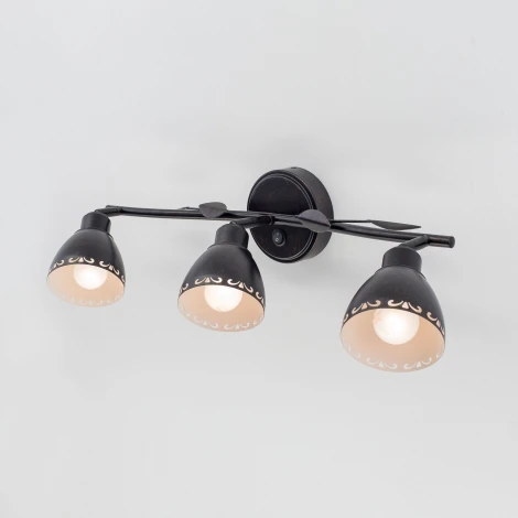 Спот Citilux Робуста CL509532