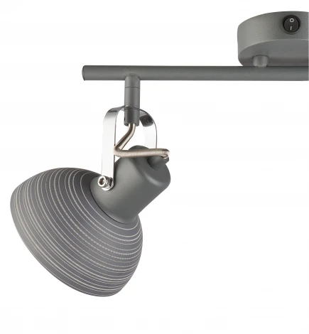 Спот Globo Daisy 54658-2