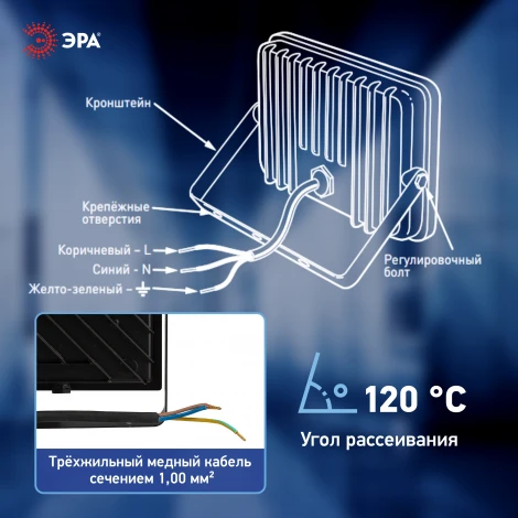 Прожектор уличный светодиодный ЭРА LPR-06 LPR-062-0-65K-070