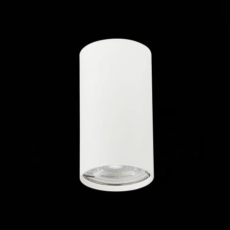 Накладной точечный светильник ST Luce Simplus ST110.507.01 (220V, круглые)