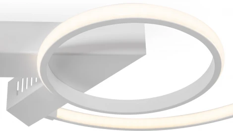 Потолочная люстра Freya Diane FR6020CL-L31W