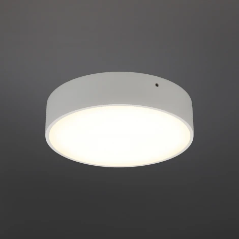 Потолочный светильник круглый Aployt Evon APL.0113.09.18 (LED, 220V, круглые)