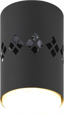 Точечный светильник ЭРА OL10 LD GX53 BK (220V)