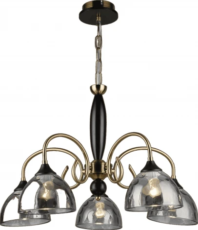 Подвесная люстра Мелодия Света 000060422