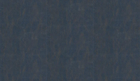 Обои виниловые Marburg Project 31835 10,05 x 0,53 м