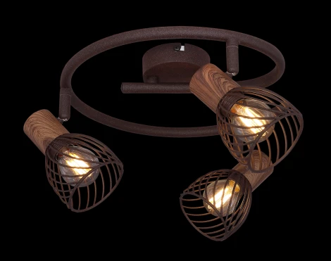 Спот Isabelle 54817-3 (220V)