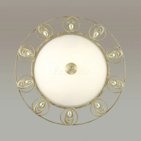 Настенно-потолочный светильник Odeon Light Kanti 3483/2C