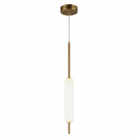 Подвесной светильник Aployt Carla APL.010.06.08 (LED, 220V, на проводе, круглые)