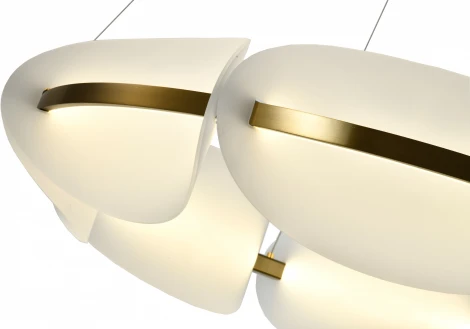 Подвесной светильник LED Zortes Mon ZRS.1210.80 (220V, на тросе, круглые)