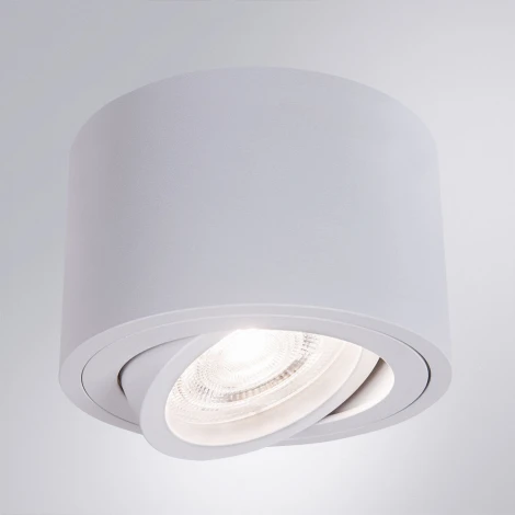 Накладной светильник Arte Lamp Unito A2260PL-1WH (LED, 220V, круглые)