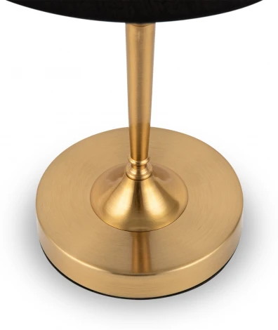 Интерьерная настольная лампа Freya Rosemary FR5190TL-01BS (220V, выключатель)