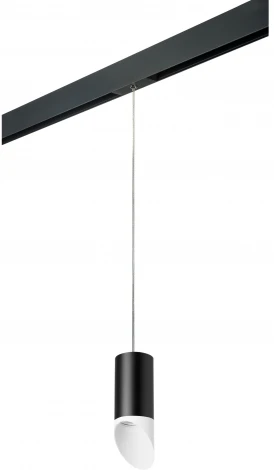 Трековый светильник однофазный 220V Lightstar Rullo PRORP43736 (круглые)