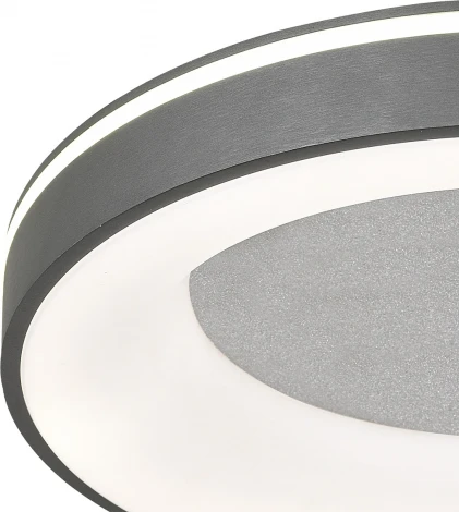 Потолочный светодиодный светильник круглый Escada Lemma 627/A LED 68Вт, металл/акрил, серебро/белый (регулировка яркости, 220V, пульт управления, круглые)