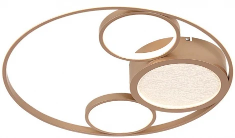 Потолочный светильник круглый F-Promo Campus 4681-4C (LED, 220V)