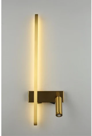 Настенный светильник с выключателем LED со спотом Aployt Reymand APL.342.11.13 (220V)