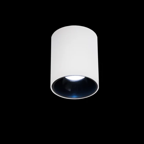 Накладной точечный светильник Citilux Старк CL7440101 (LED, 220V, круглые)