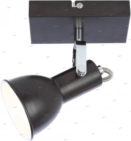 Спот Globo Xenia 54643-1