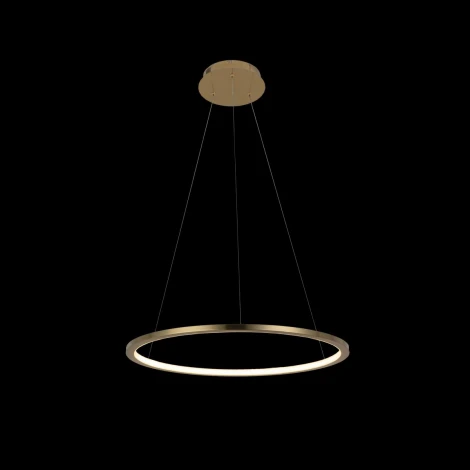 Подвесной светильник Loft IT Ring 10014M (LED, 220V, на тросе, кольцо)