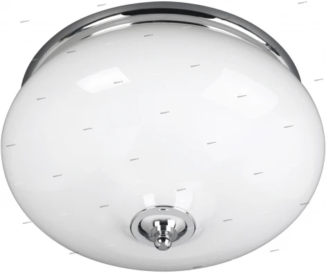 Massive Brenna 32026-11-10