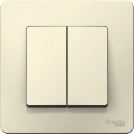 Выключатель встраиваемый двухклавишный (молочный) Systeme Electric Blanca BLNVS006502