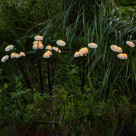 Садовый светильник на солнечной батарее «Волшебные грибы», в комплекте из 25 штук. 25 светодиодов, 1*АA Ni-Mh аккумулятор в/к. IP44. Uniel USL-S-832/PM030 FAIRY MUSHROOMS SET25