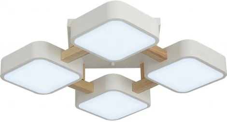 Потолочный светодиодный светильник Ritter Scandia 52072 6