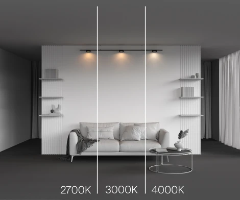 Трековый светильник магнитный 12W 24V Maytoni Zon TR189-1-12W4K-B (LED, круглые)