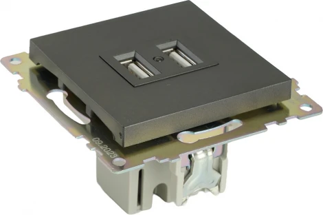 Розетка с USBх2 (графит) Stekker Катрин 49422