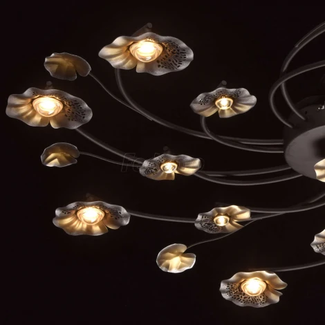 Потолочная люстра MW-Light Адриатика 280011517