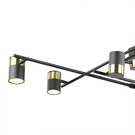 Потолочная люстра Lumien Hall Sauris LH8020/8P-BK-GD