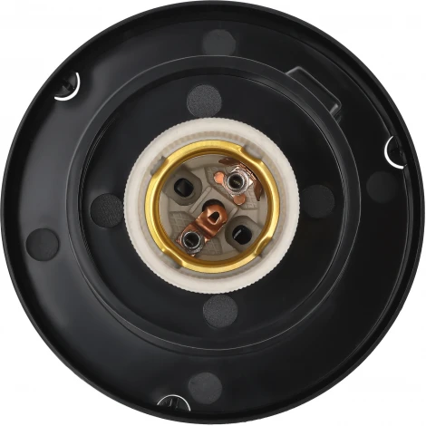 Уличный консольный светильник ЭРА НТУ 01-60-201 (220V, шар, IP44)