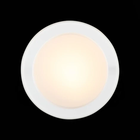 Настенно-потолочный светильник ST Luce Botone SL466.502.01