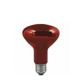 Лампочка накаливания E27 100 Вт Paulmann Infrared 82966