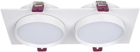 Встраиваемый светильник Favourite Vasto 4649-2C (220V)