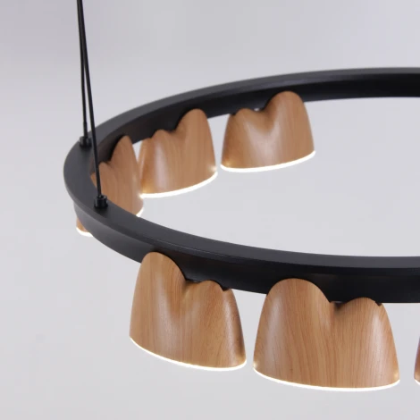 Подвесной светильник Favourite Interline 4266-21P (LED, 220V, на тросе)