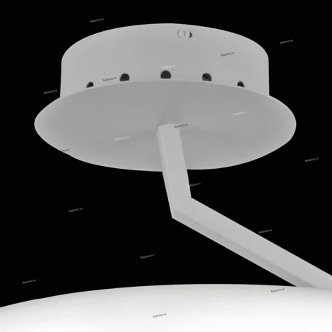 Потолочный светильник ST Luce Albo SL902.592.01