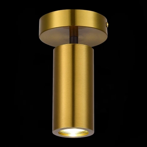 Потолочный светильник ST Luce Talia SL1215.402.01