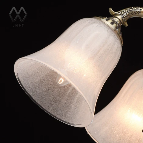 Подвесная люстра MW-Light Афродита 317014108
