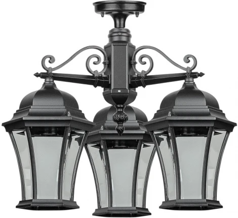 Потолочный светильник уличный Oasis Light ASTORIA 1 L 91370LA/3 Bl